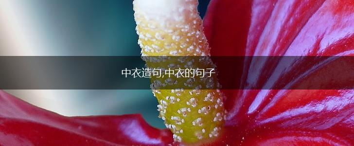 中衣造句,中衣的句子,第1张
