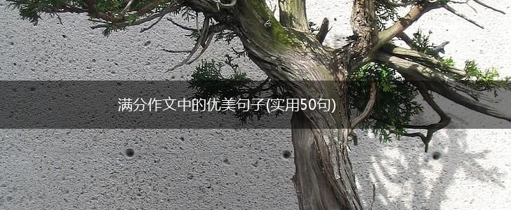 满分作文中的优美句子(实用50句),第1张
