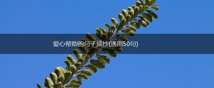 爱心帮助的句子摘抄(通用50句),第1张