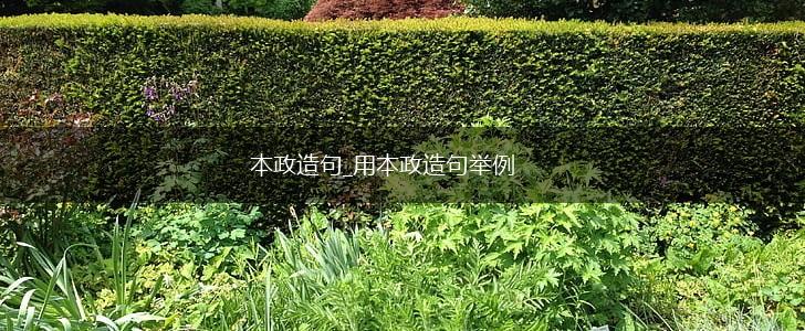 本政造句_用本政造句举例,第1张
