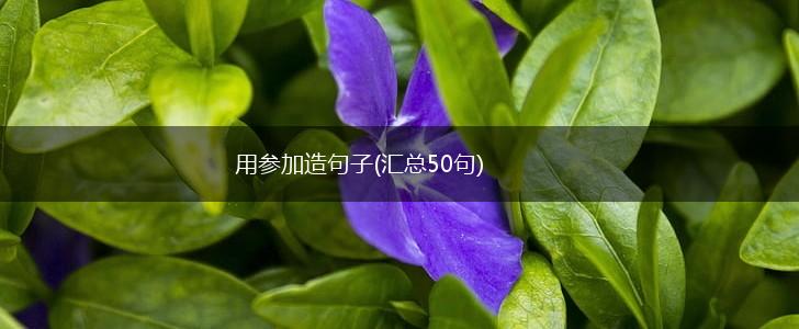 用参加造句子(汇总50句),第1张