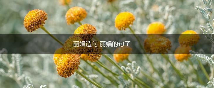 丽娟造句 丽娟的句子,第1张
