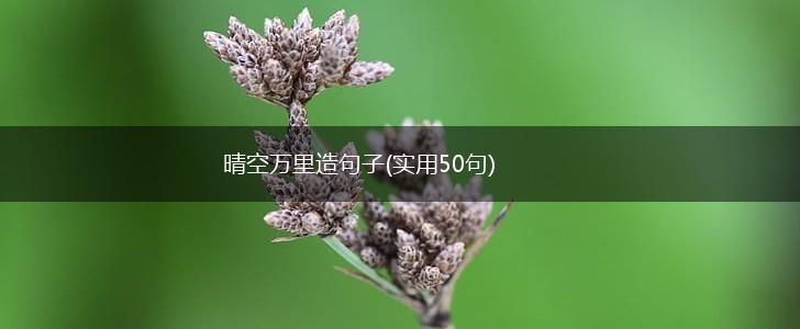 晴空万里造句子(实用50句),第1张