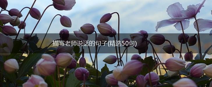 描写老师说话的句子(精选50句),第1张