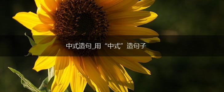 中式造句_用“中式”造句子,第1张