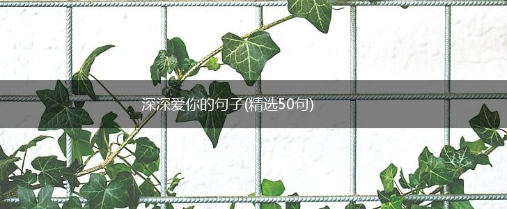 深深爱你的句子(精选50句),第1张