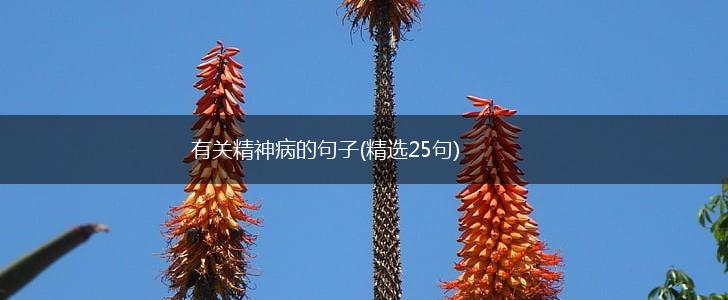 有关精神病的句子(精选25句),第1张