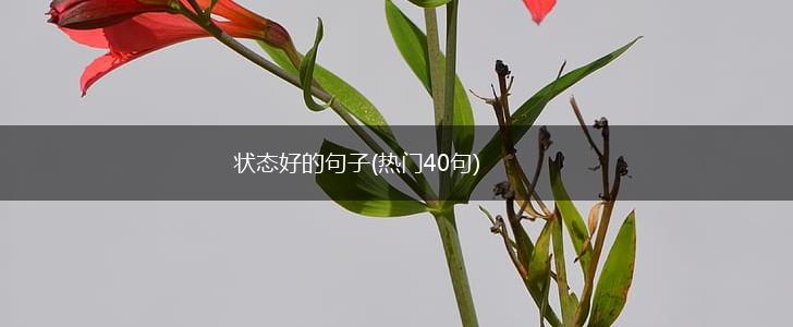 状态好的句子(热门40句),第1张
