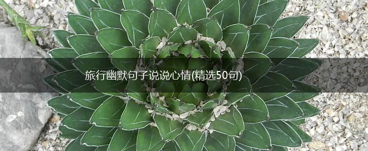 旅行幽默句子说说心情(精选50句),第1张