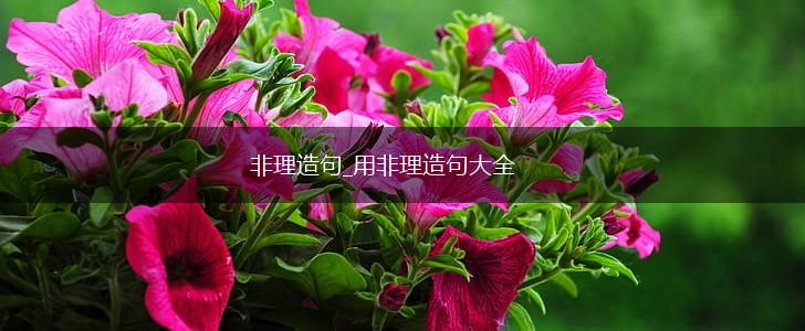 非理造句_用非理造句大全,第1张