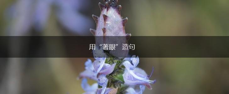 用“著眼”造句,第1张