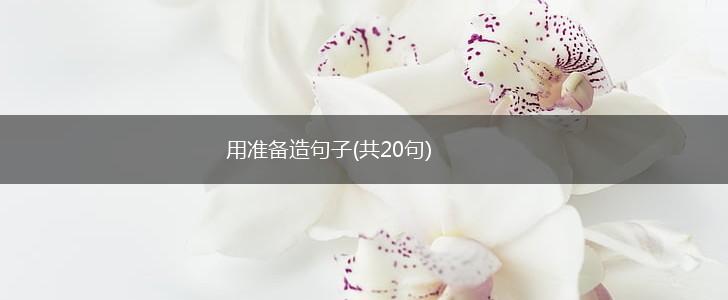 用准备造句子(共20句),第1张