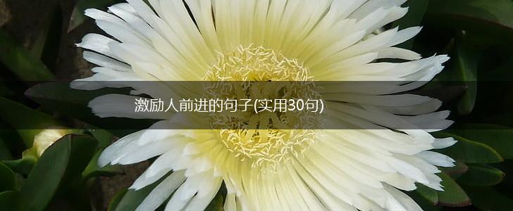 激励人前进的句子(实用30句),第1张