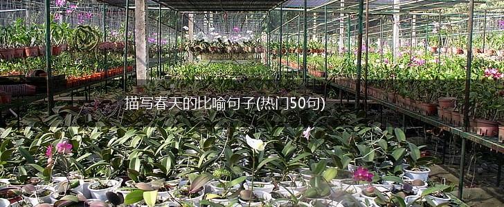 描写春天的比喻句子(热门50句),第1张