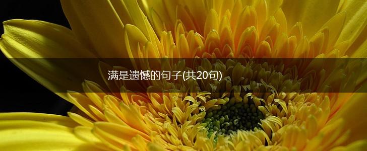满是遗憾的句子(共20句),第1张