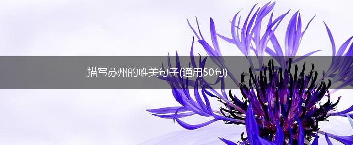描写苏州的唯美句子(通用50句),第1张