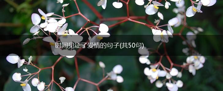 时间见证了爱情的句子(共50句),第1张