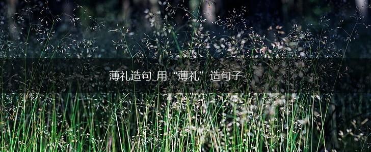 薄礼造句_用“薄礼”造句子,第1张