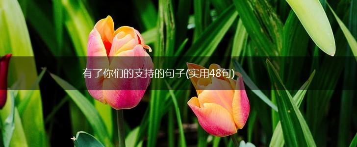 有了你们的支持的句子(实用48句),第1张