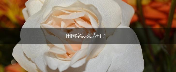 用国字怎么造句子,第1张