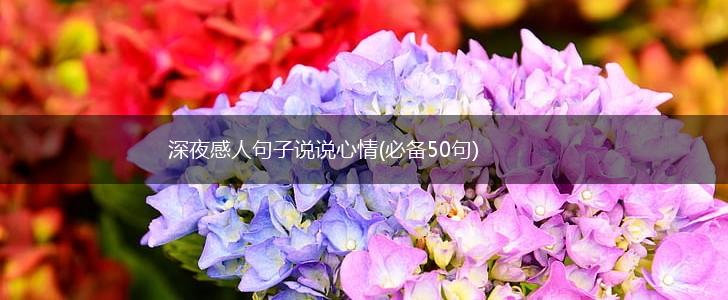 深夜感人句子说说心情(必备50句),第1张