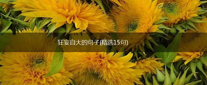 狂妄自大的句子(精选15句),第1张