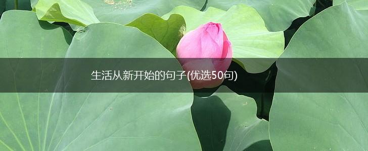 生活从新开始的句子(优选50句),第1张