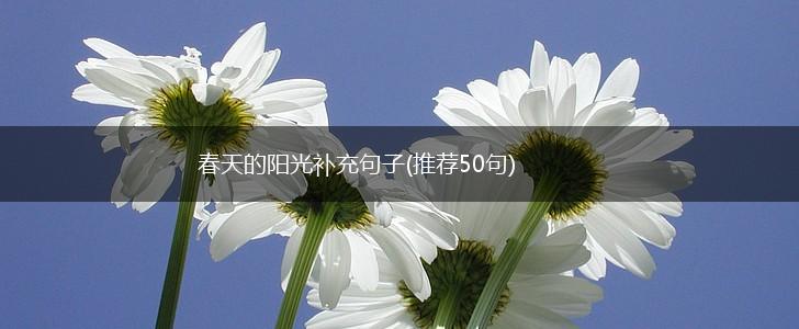 春天的阳光补充句子(推荐50句),第1张
