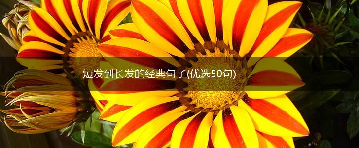 短发到长发的经典句子(优选50句),第1张