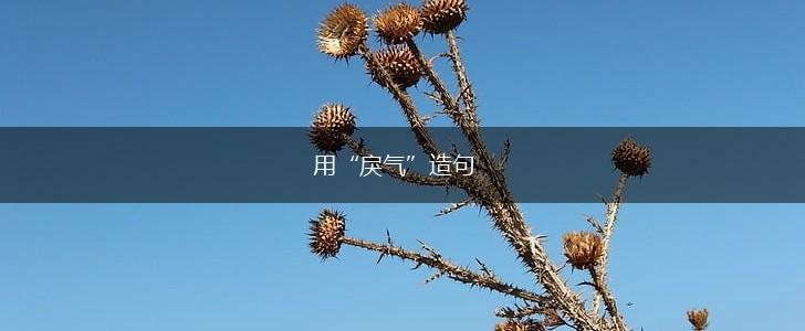 用“戾气”造句,第1张