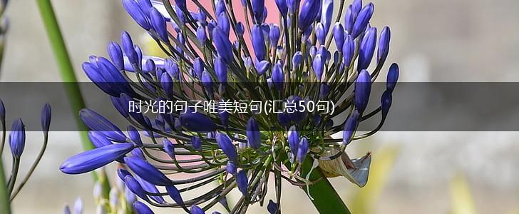时光的句子唯美短句(汇总50句),第1张