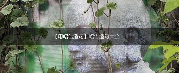 【用昭告造句】昭告造句大全,第1张