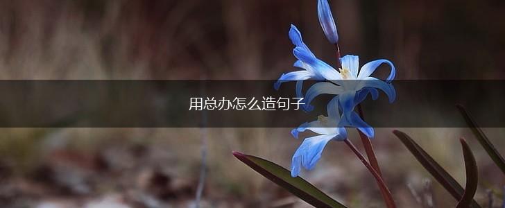 用总办怎么造句子,第1张