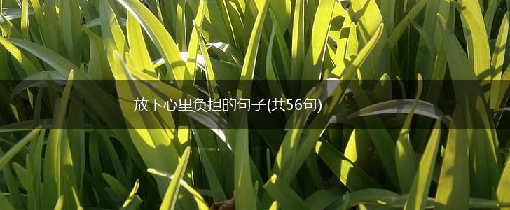 放下心里负担的句子(共56句),第1张