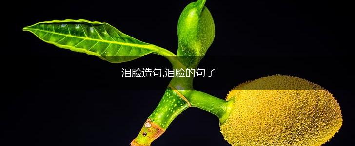 泪脸造句,泪脸的句子,第1张