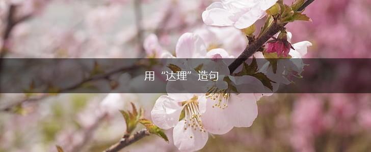 用“达理”造句,第1张