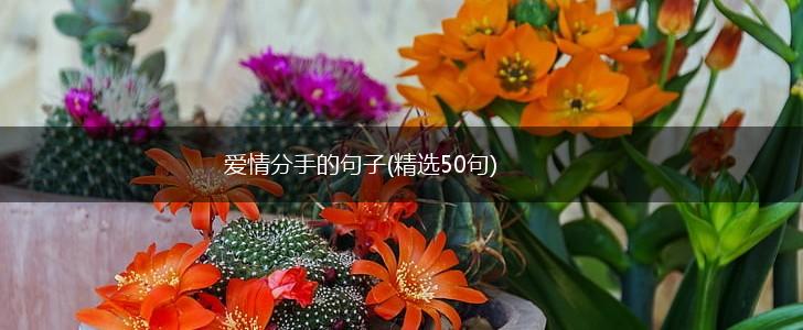 爱情分手的句子(精选50句),第1张