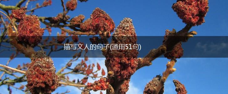 描写文人的句子(通用51句),第1张