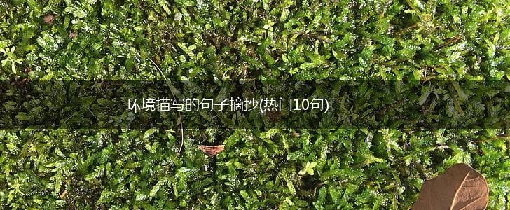环境描写的句子摘抄(热门10句),第1张