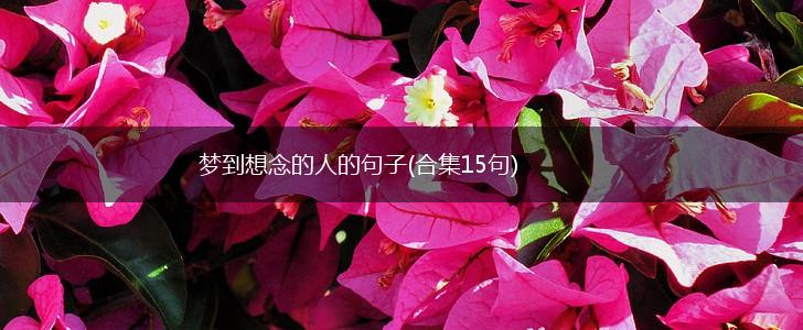 梦到想念的人的句子(合集15句),第1张