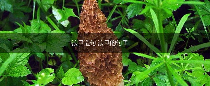 浪旦造句 浪旦的句子,第1张