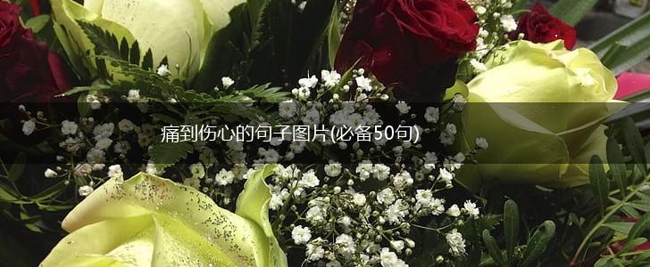 痛到伤心的句子图片(必备50句),第1张