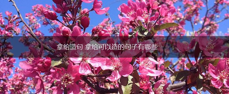 拿给造句 拿给可以造的句子有哪些,第1张