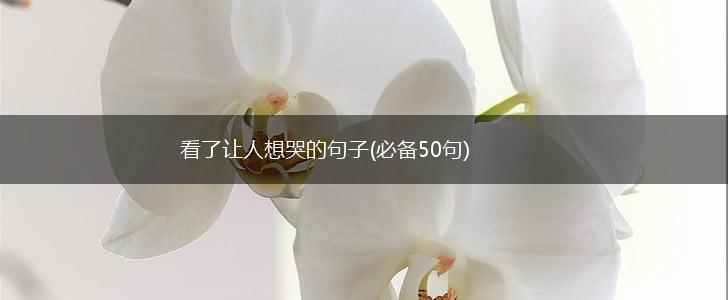 看了让人想哭的句子(必备50句),第1张