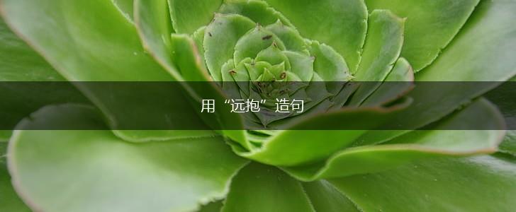 用“远抱”造句,第1张