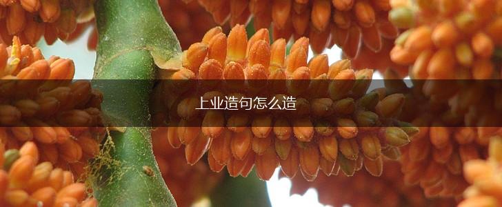 上业造句怎么造,第1张