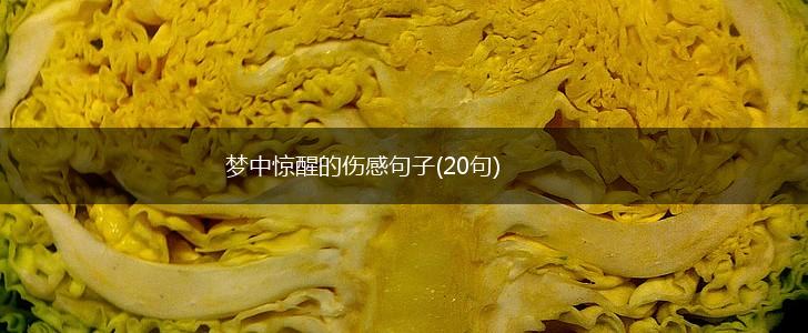 梦中惊醒的伤感句子(20句),第1张