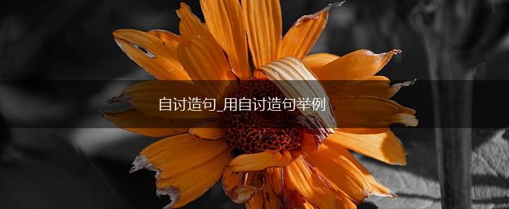 自讨造句_用自讨造句举例,第1张