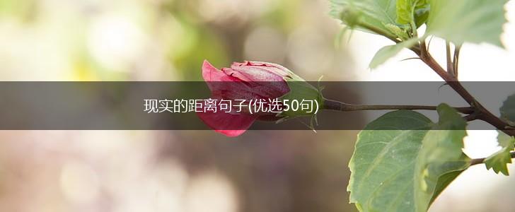 现实的距离句子(优选50句),第1张