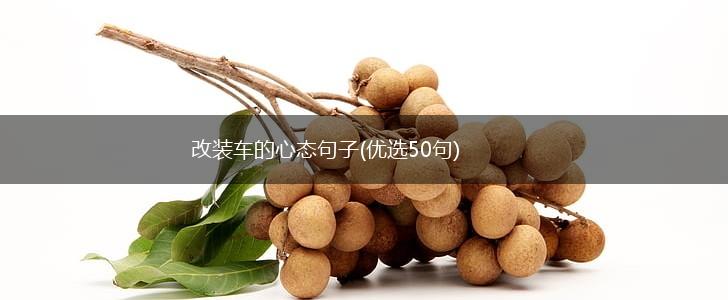 改装车的心态句子(优选50句),第1张